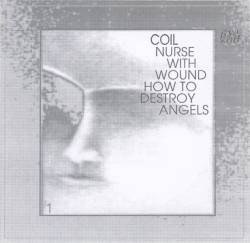 Nurse With Wound : How to Destroy Angels 1